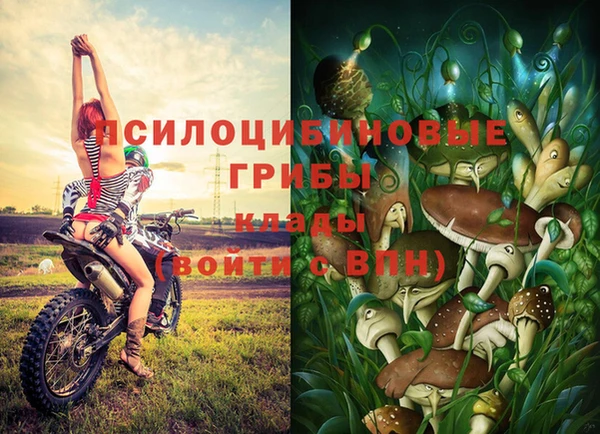 амф Новокубанск