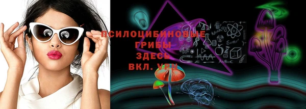герыч Новозыбков