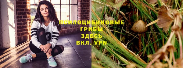амф Новокубанск