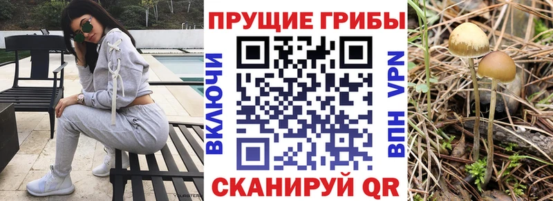 Галлюциногенные грибы мухоморы  наркошоп  Коломна 