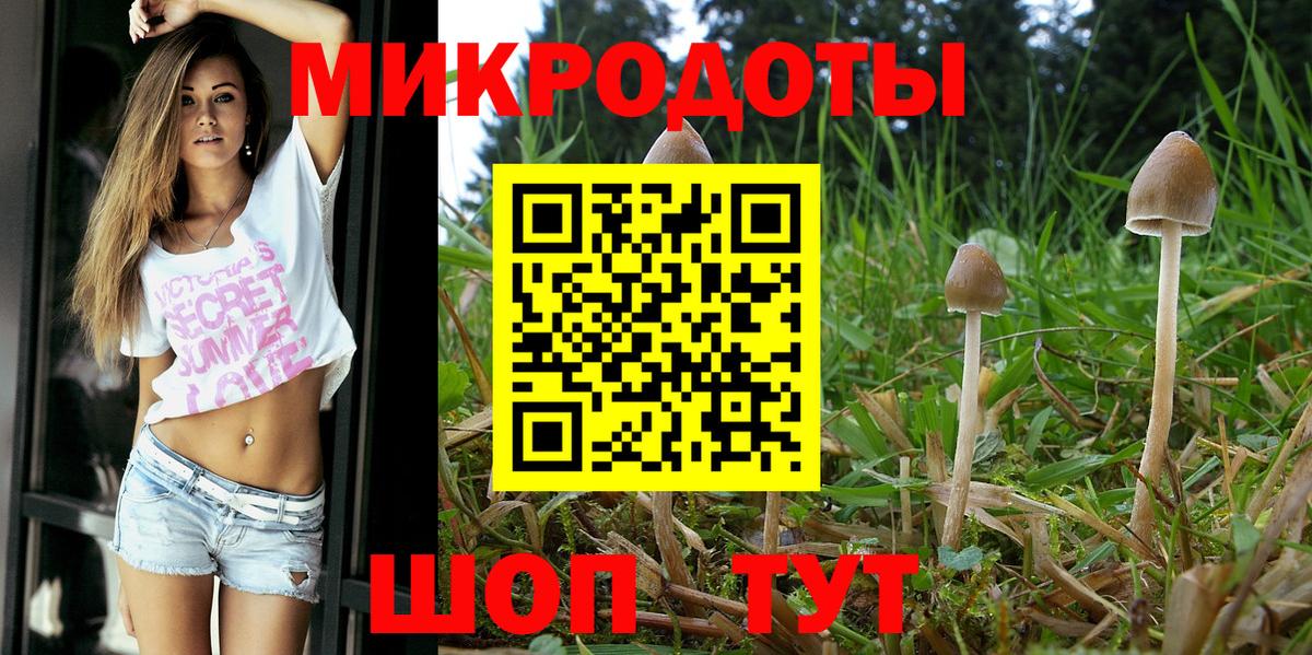 Псилоцибиновые грибы Cubensis Коломна