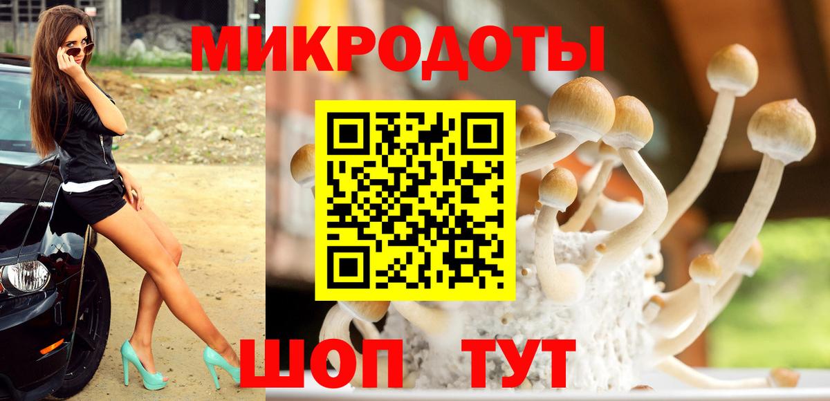 даркнет сайт  Галлюциногенные грибы MAGIC MUSHROOMS  Вход с VPN  Псилоцибиновые грибы MAGIC MUSHROOMS  Коломна 