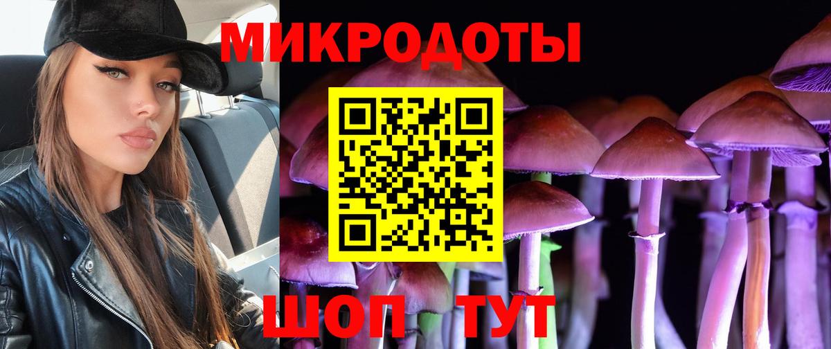 Псилоцибиновые грибы Cubensis  Коломна  Галлюциногенные грибы Psilocybe 