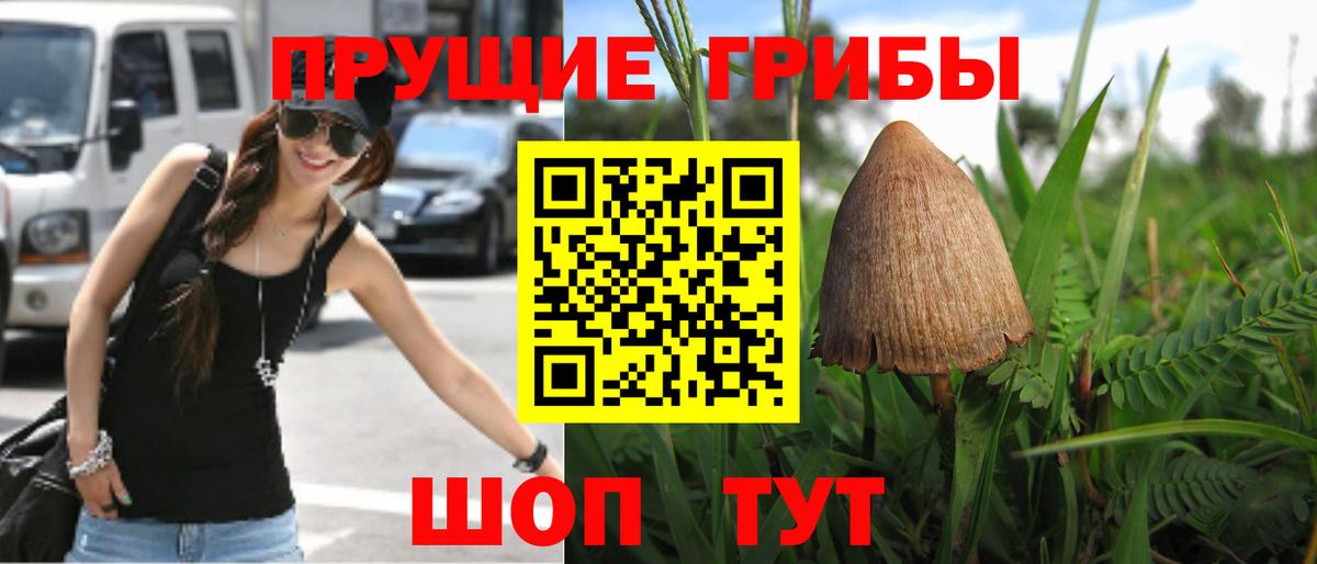 Галлюциногенные грибы мицелий Коломна